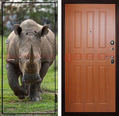 Металлическая дверь с фотопечатью носорога ДФ-31 в Екатеринбурге