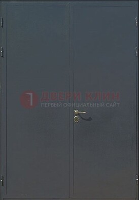 Двухстворчатая техническая дверь ДТ-5 в Екатеринбурге